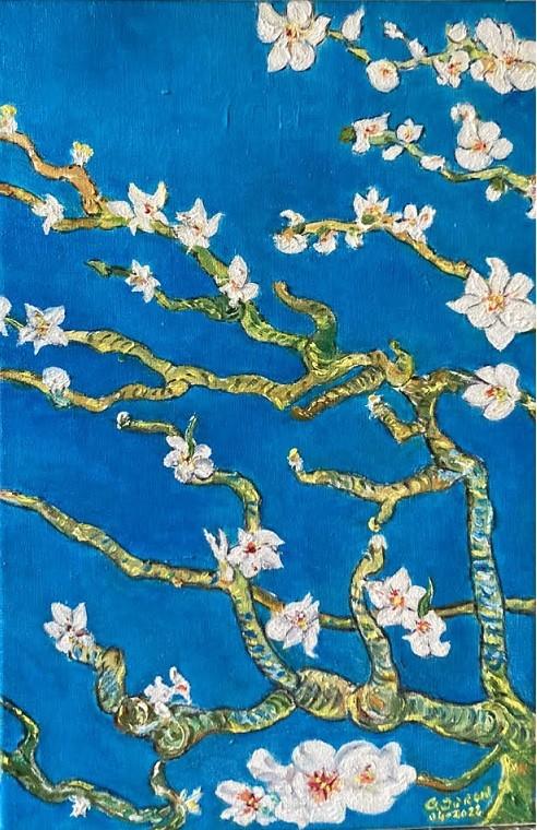 C20 - Amandier en fleurs 