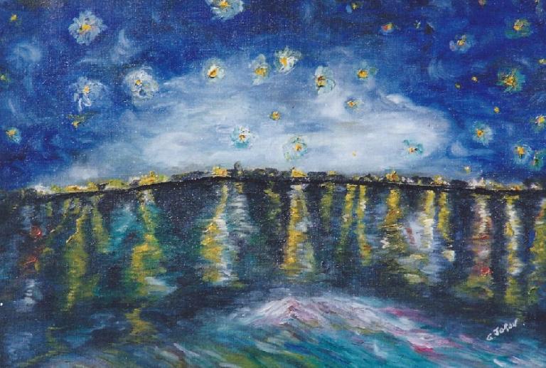 T88 - Nuit étoilée sur le Rhone