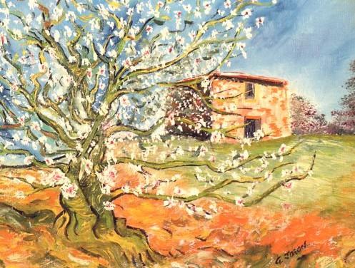 T33 - Mâs de Provence
