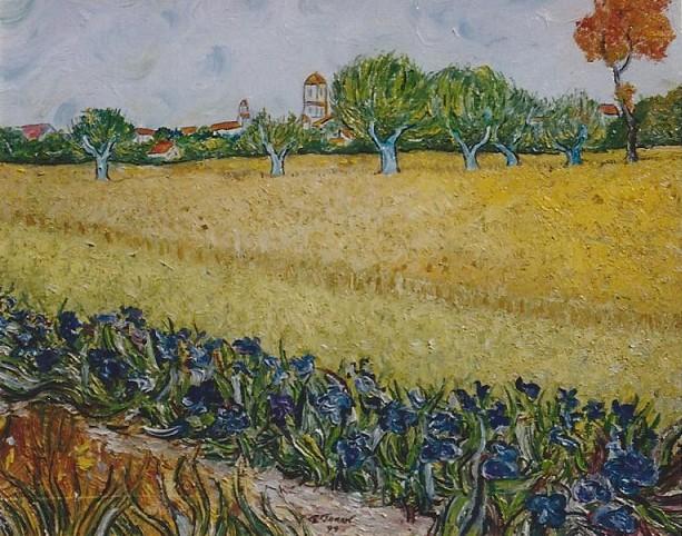 T39 - Vue d'Arles avec iris au premier plan