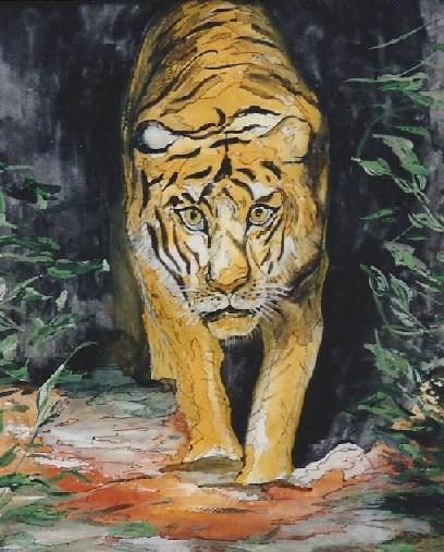 T85 - Un tigre