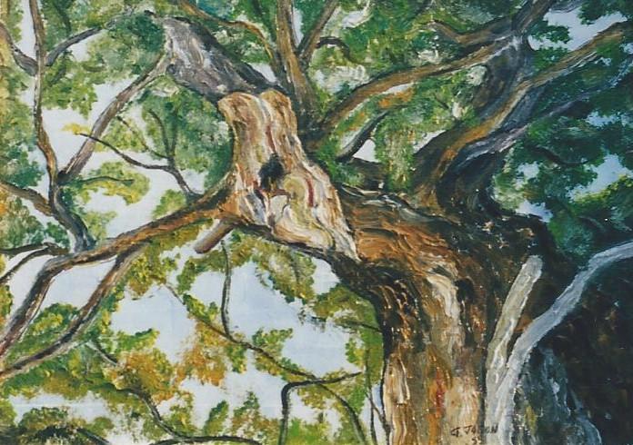 C78 - L'arbre foudroyé