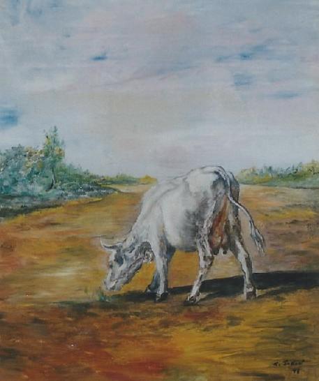 T86 - Une vache